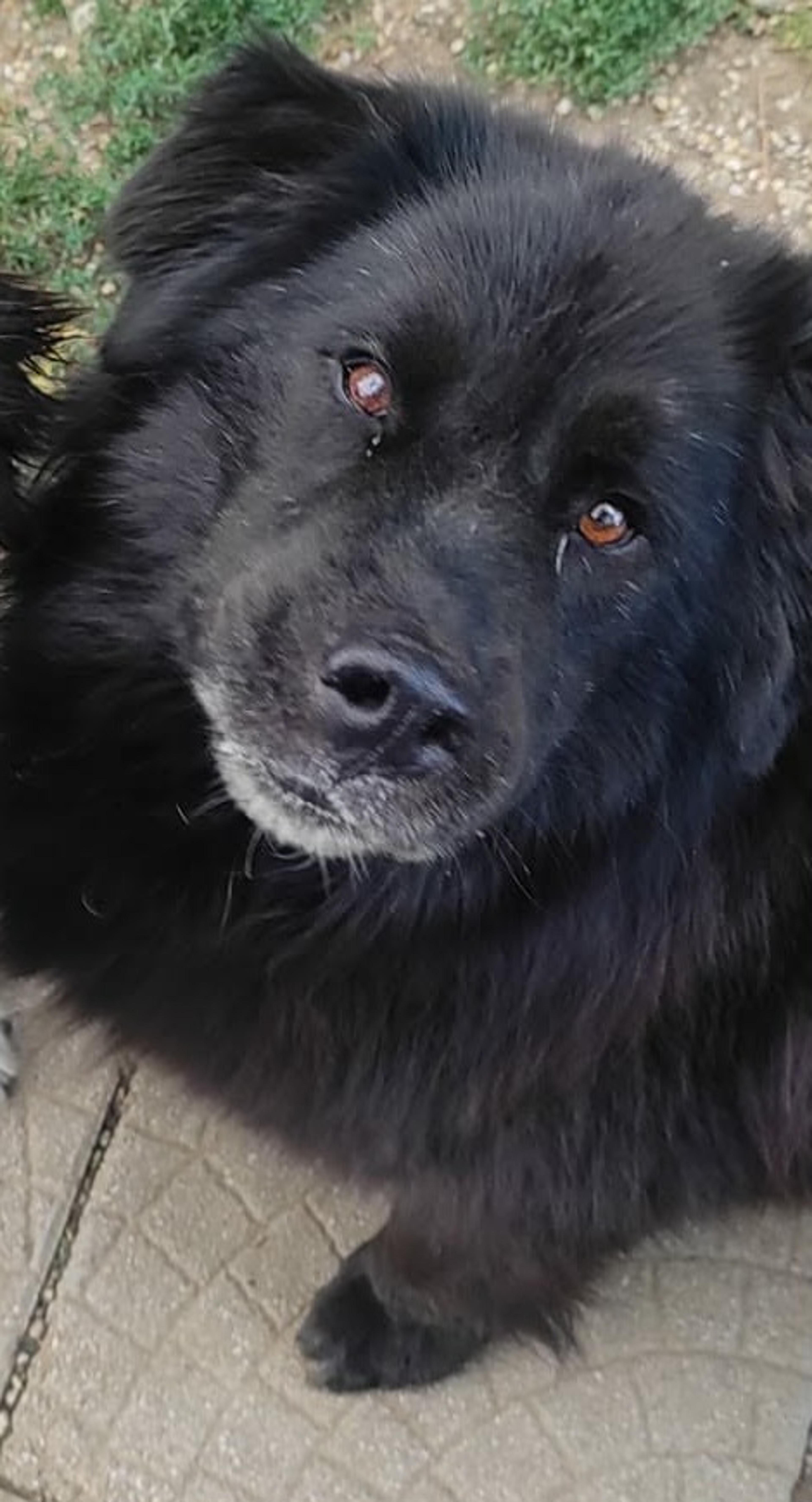 Maco