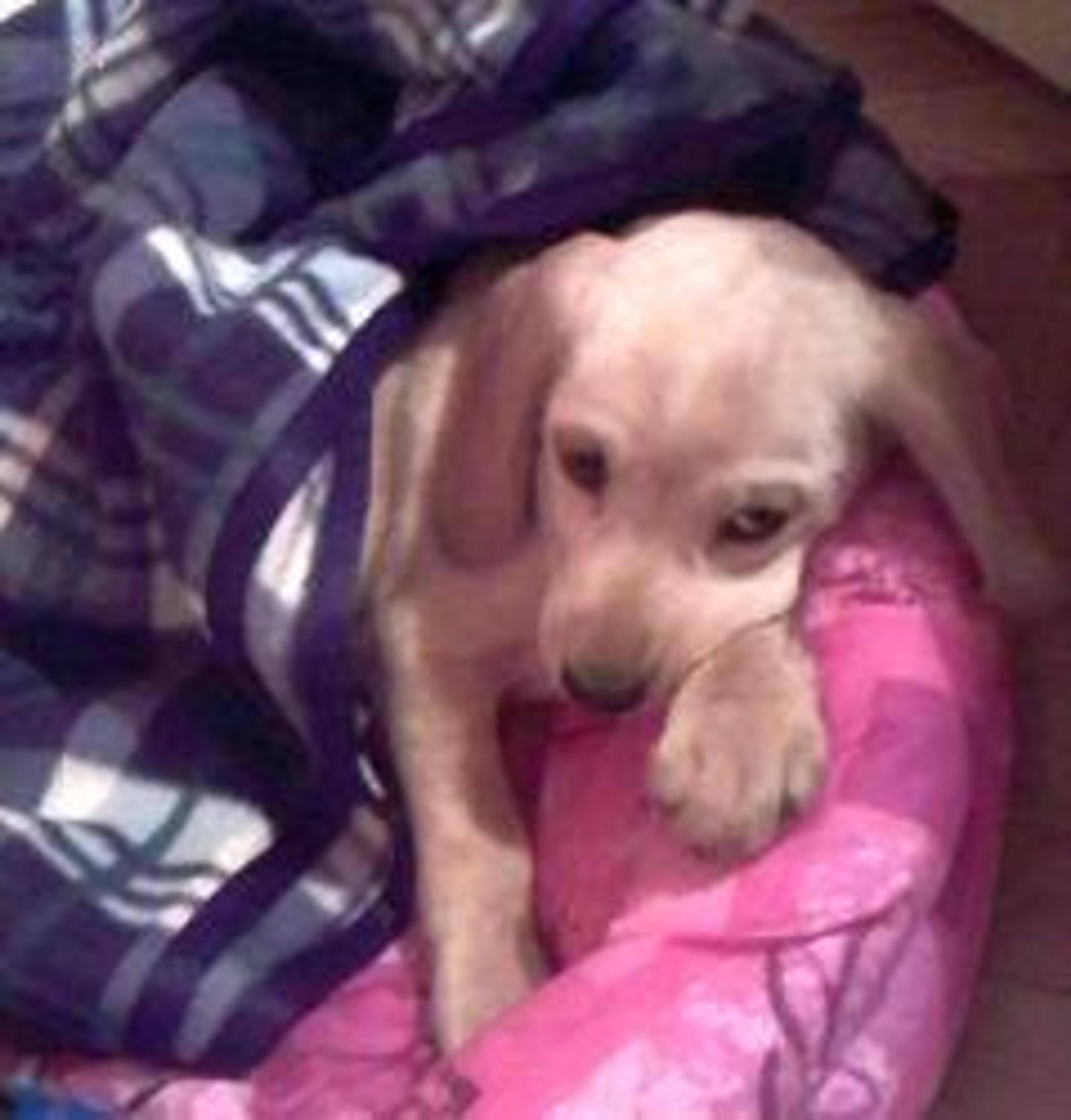 WITA teraz Ellie