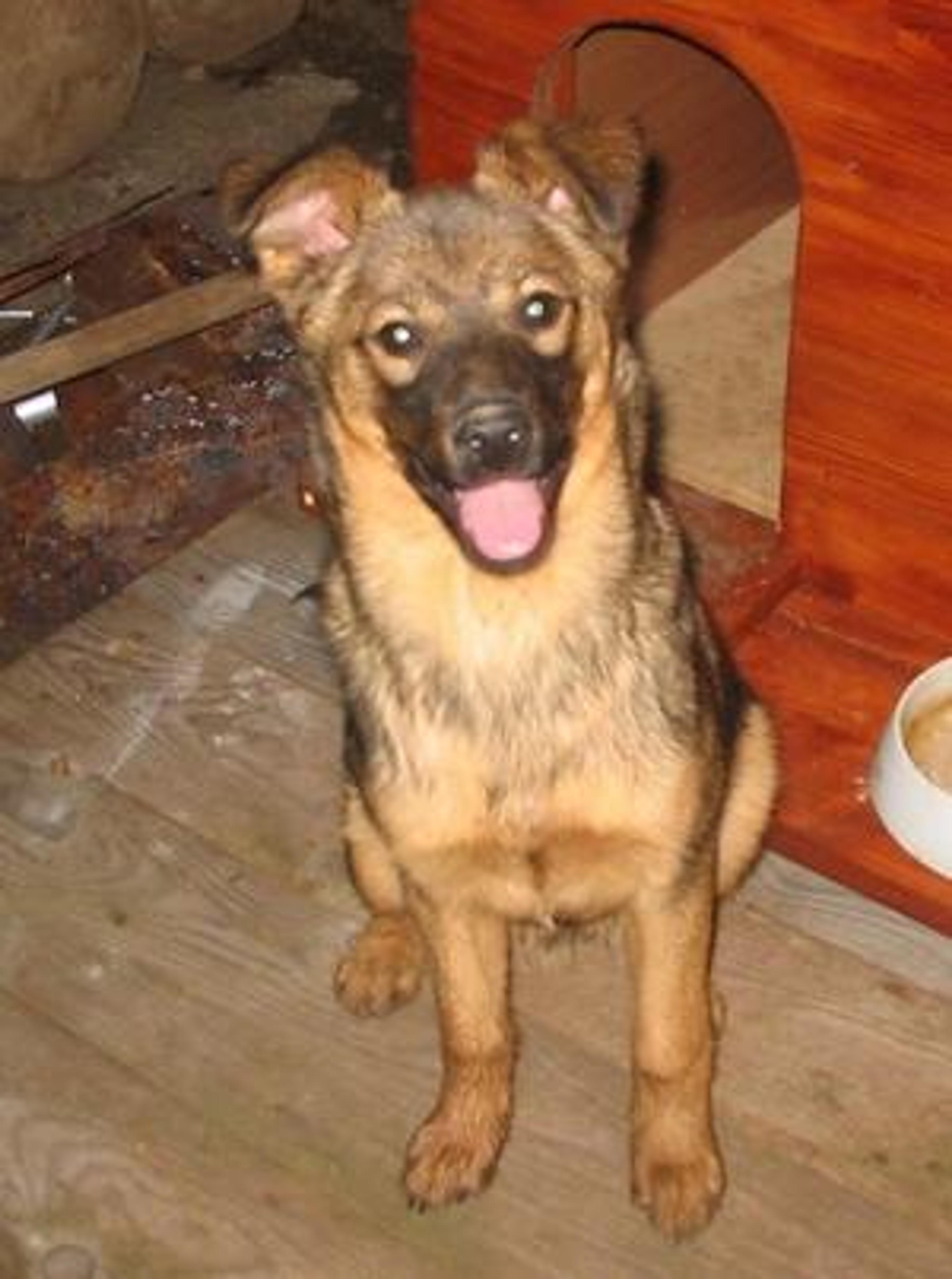 COBY
