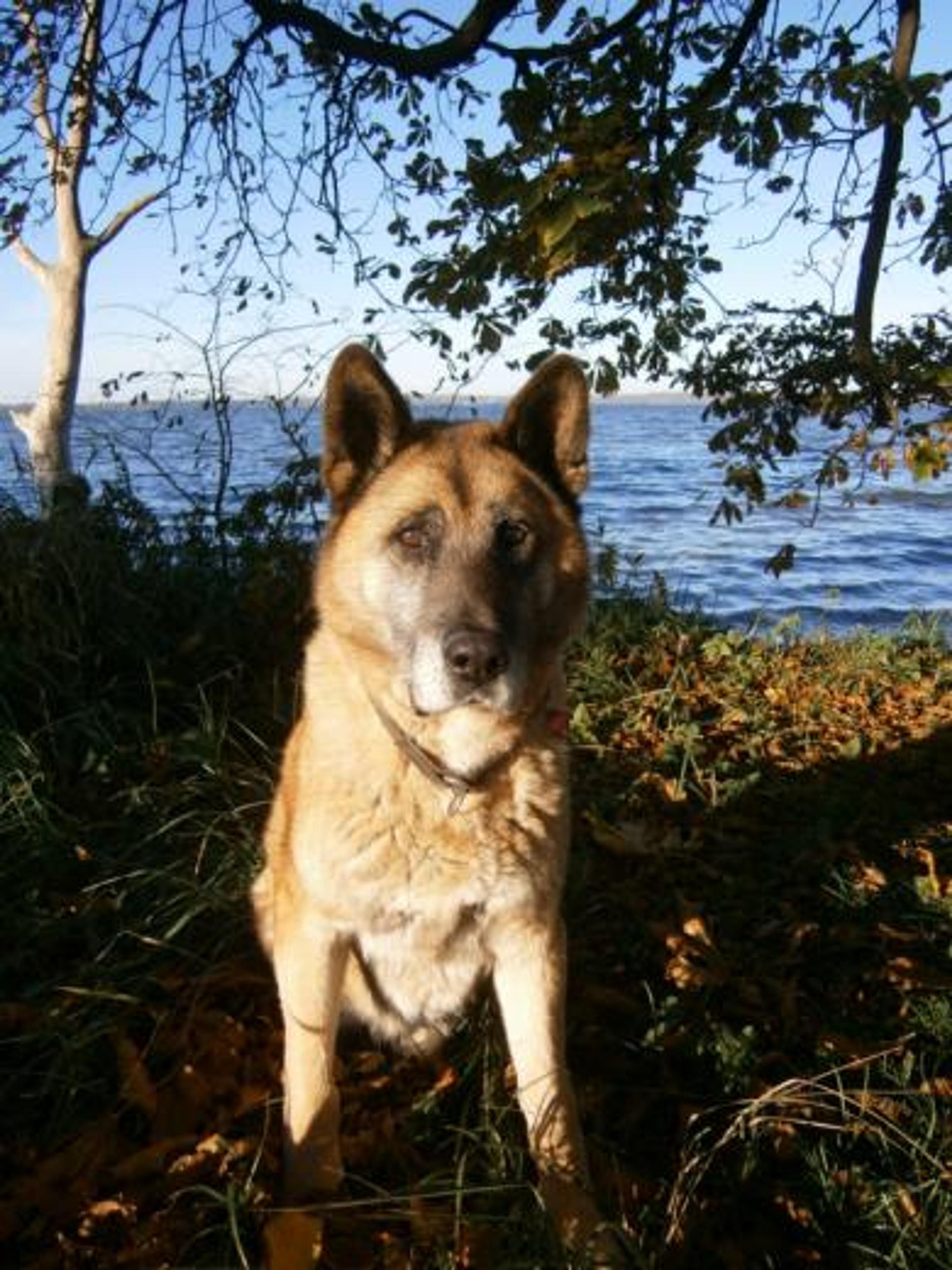 Sergej