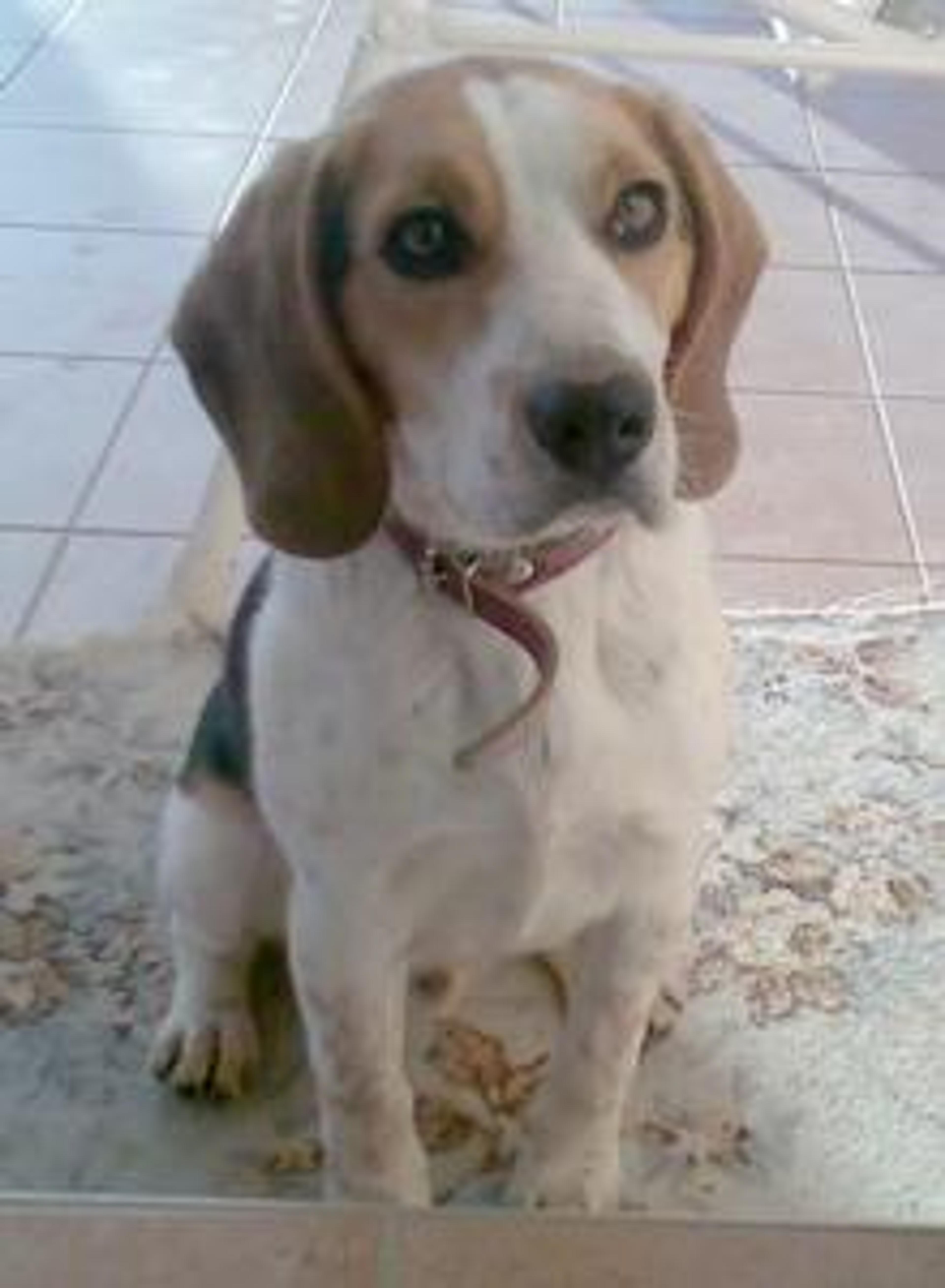 BENNY