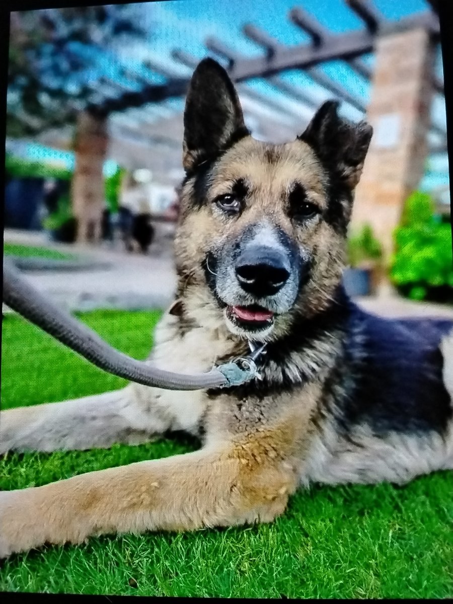 Odin
