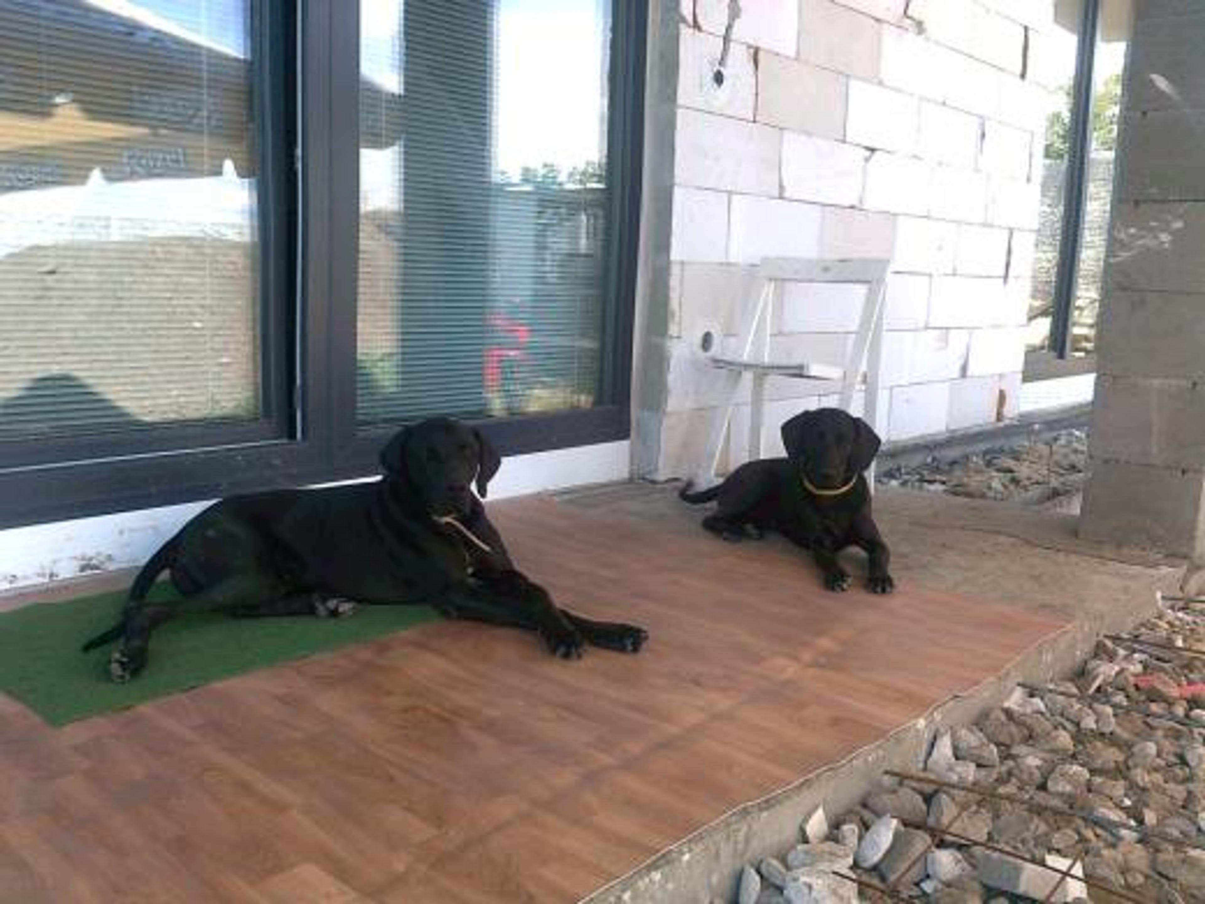 Dicson a Mortina