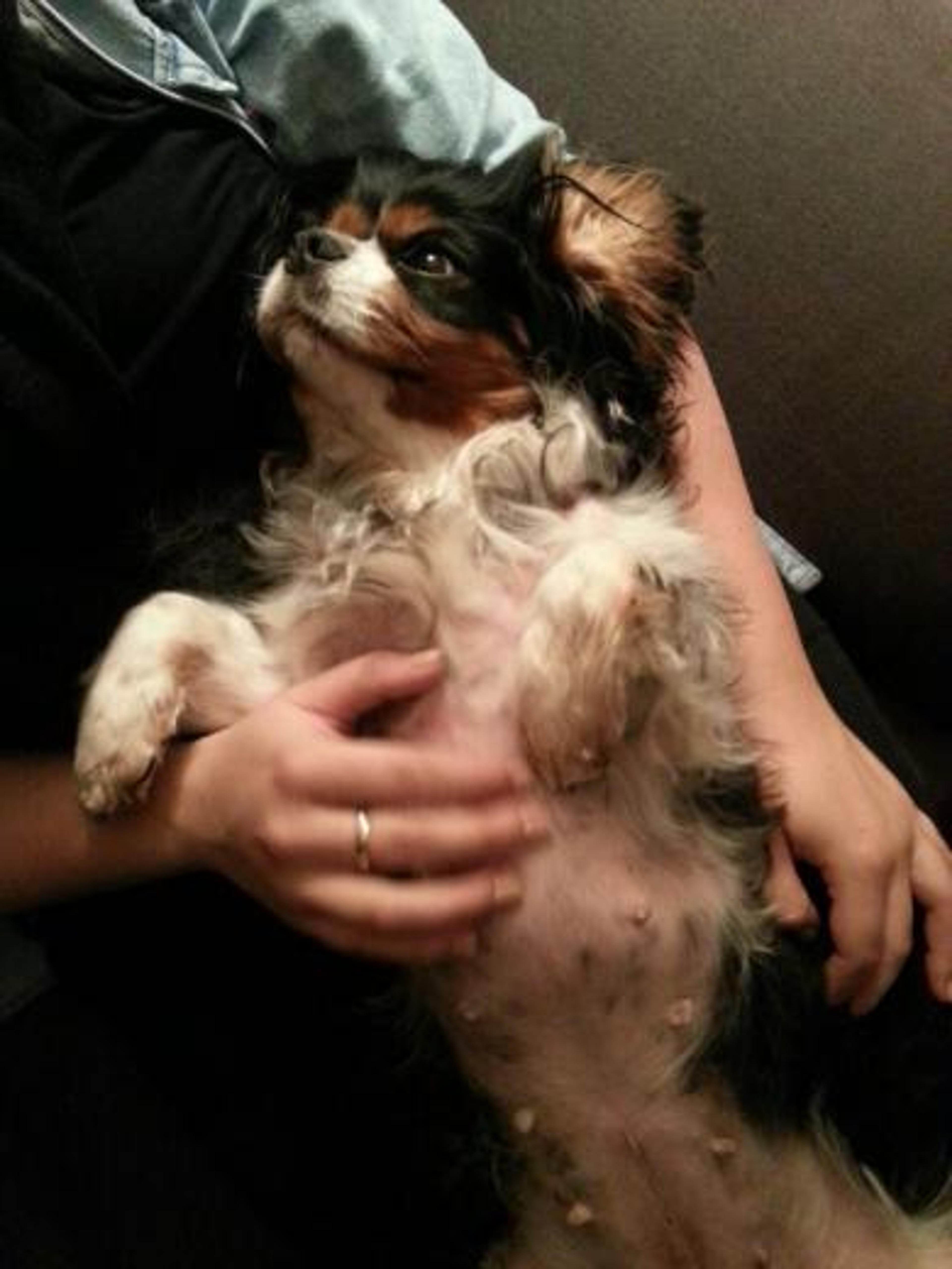 Wilma