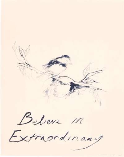 Believe In Extraordinary by Tracey Emin