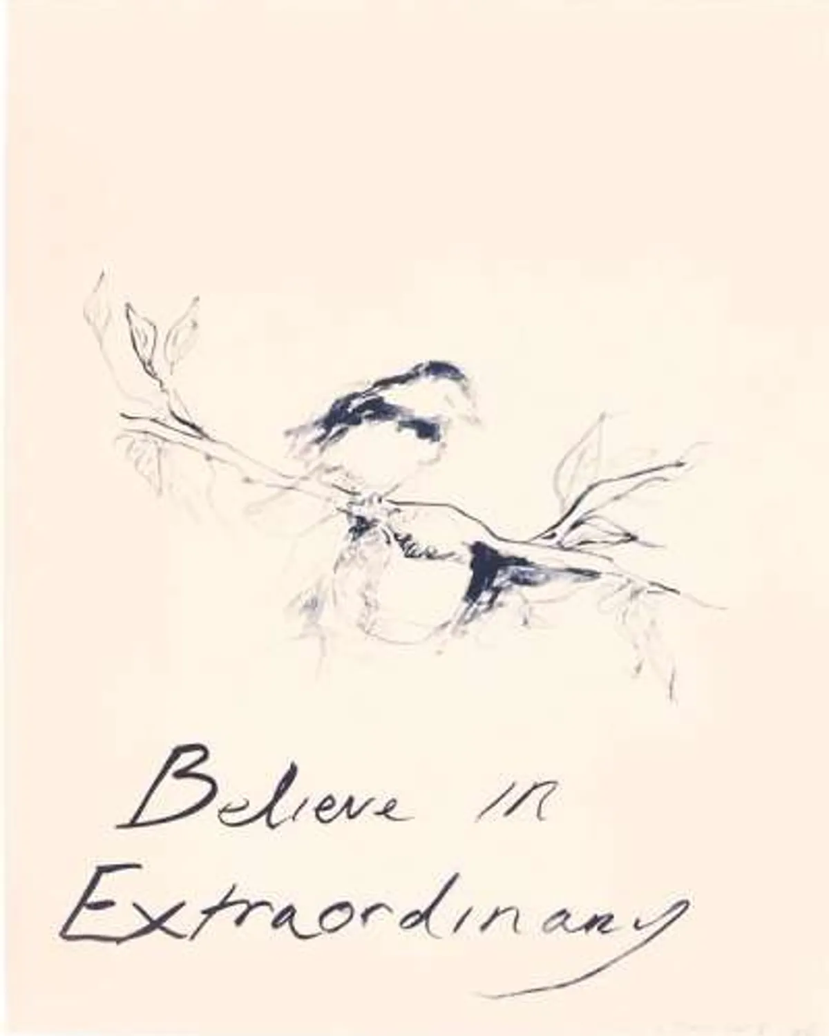 Believe In Extraordinary by Tracey Emin