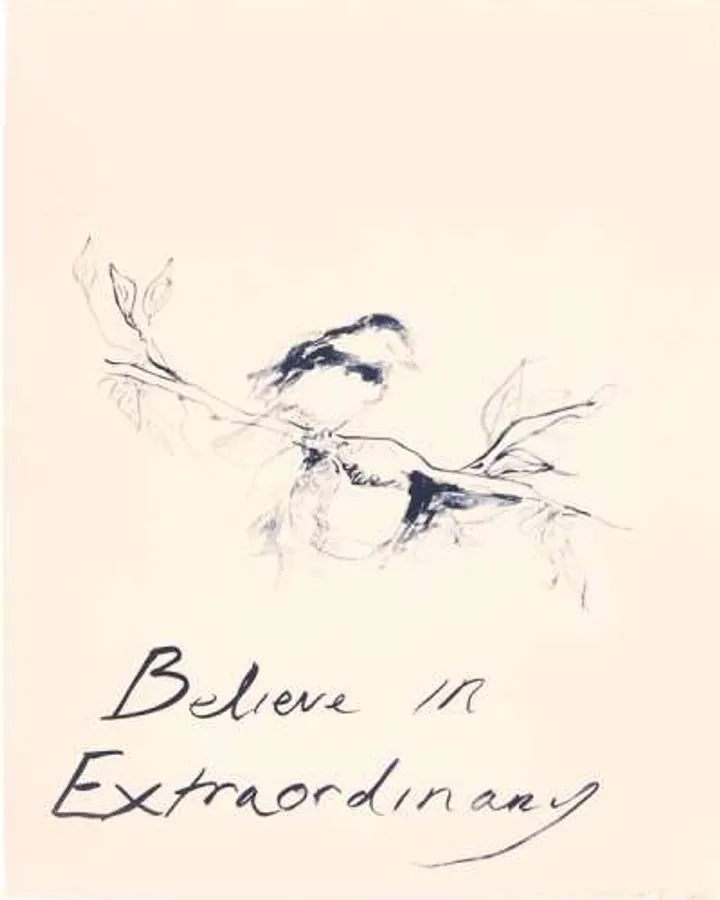 Believe In Extraordinary by Tracey Emin