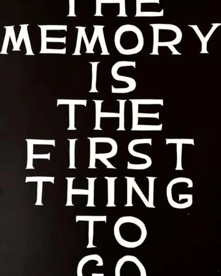 The Memory Is The First Thing To Go by David Shrigley