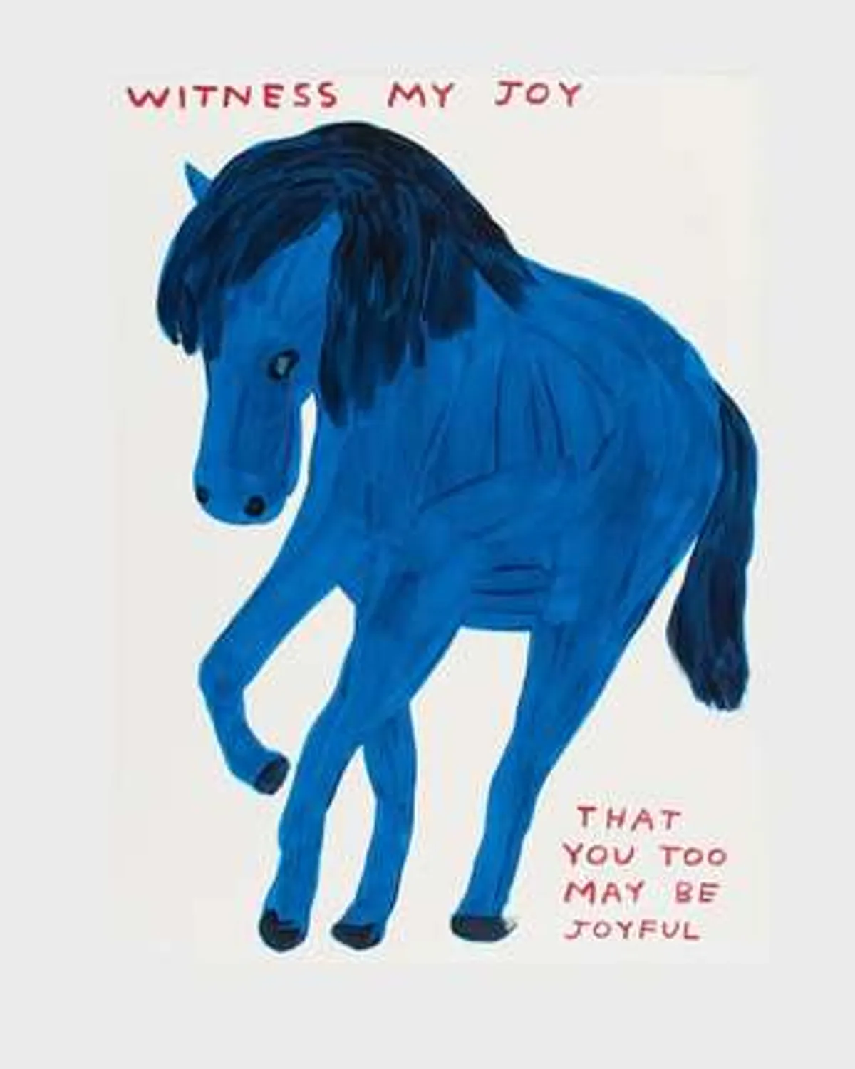 Witness My Joy by David Shrigley
