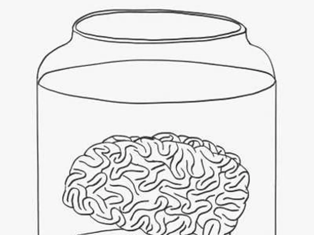 Please Remove Your Brain From My Jar