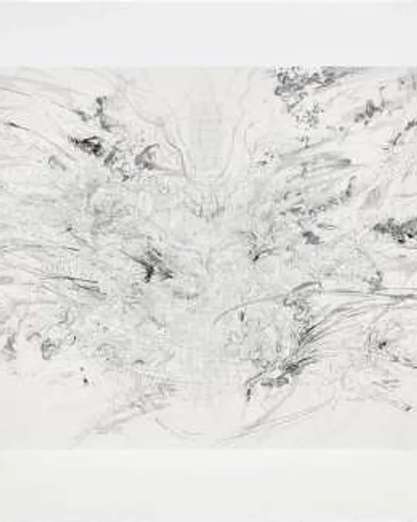 Entropia (construction) by Julie Mehretu