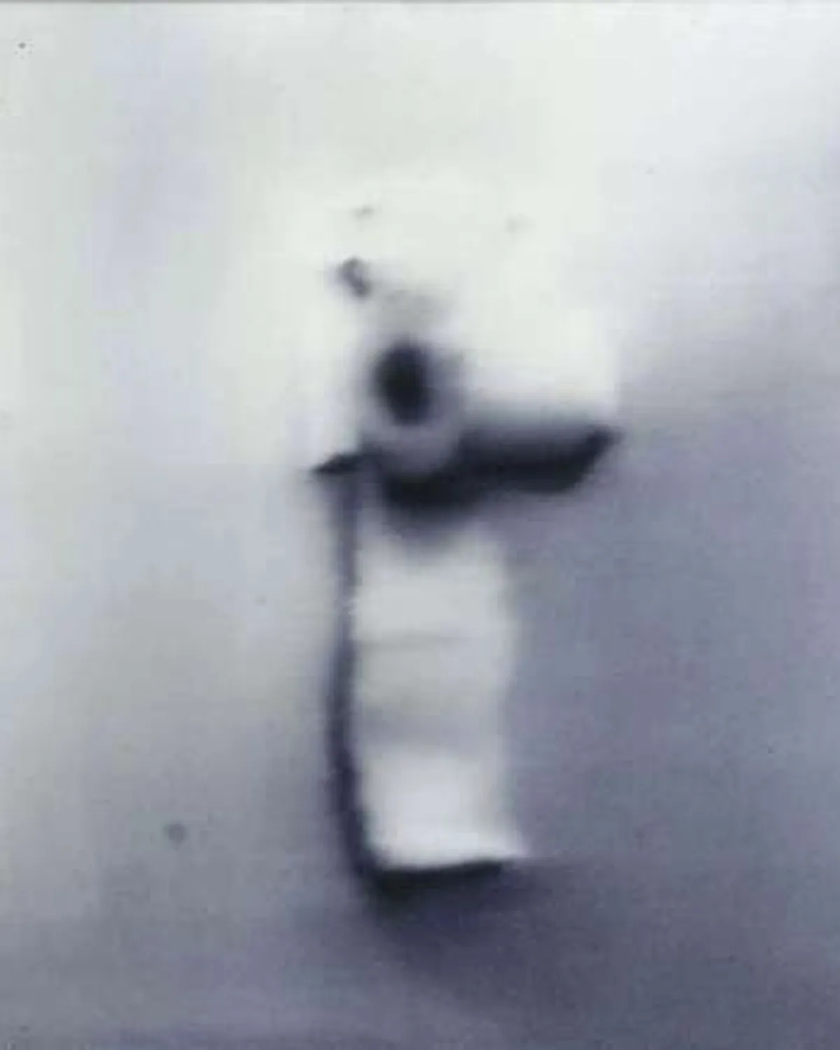 Loo Paper by Gerhard Richter
