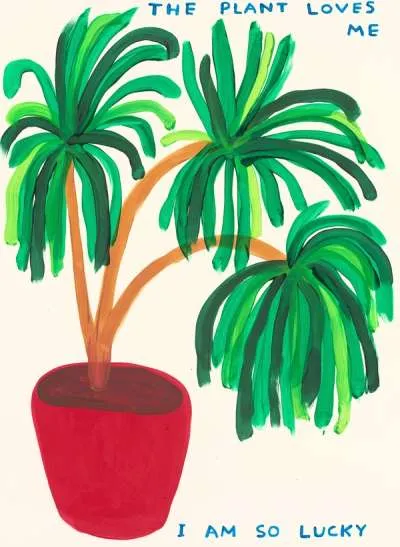 The Plant Loves Me by David Shrigley