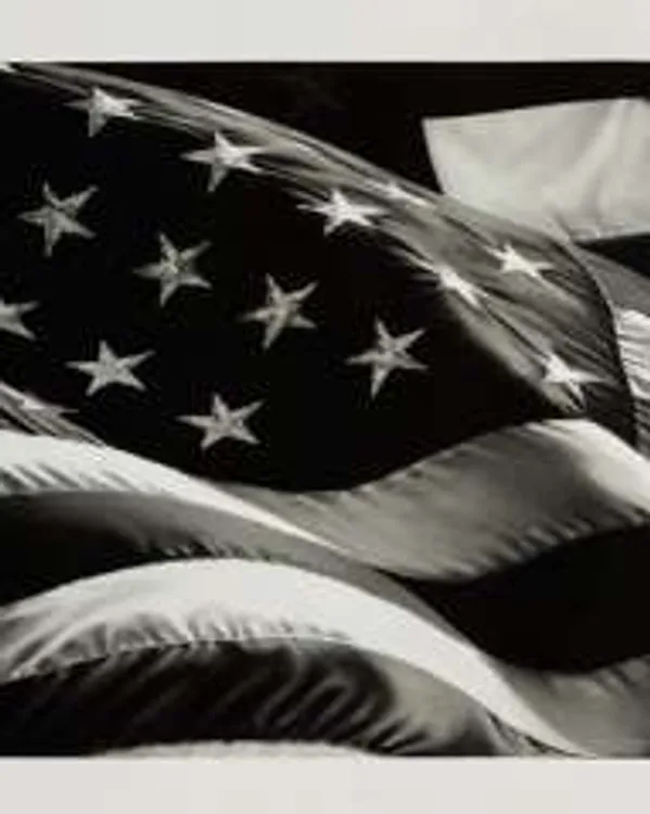 American Flag by Robert Longo