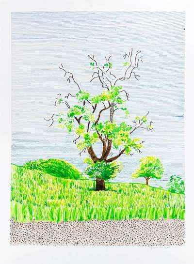 Hawthorn Bush in Front Of A Very Old And Dying Pear Tree by David Hockney