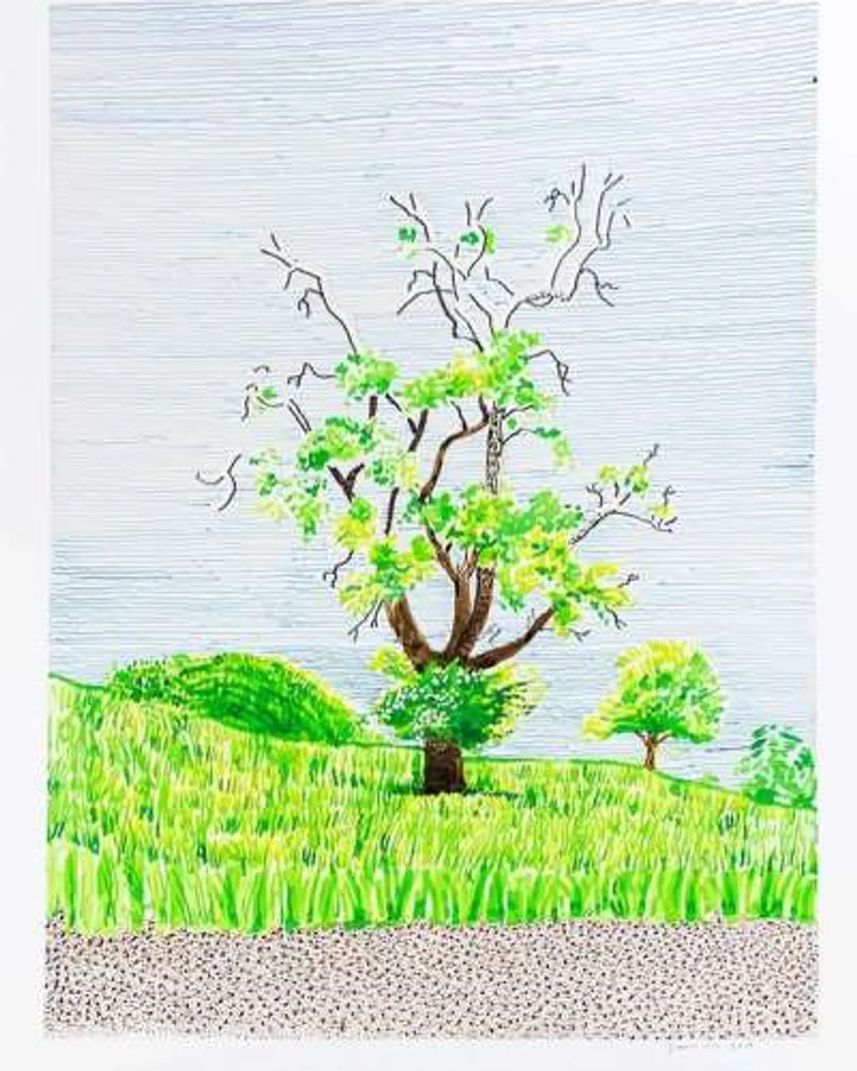 Hawthorn Bush in Front Of A Very Old And Dying Pear Tree by David Hockney