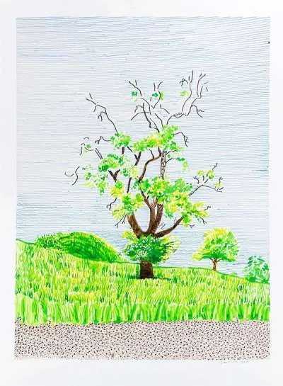 Hawthorn Bush in Front Of A Very Old And Dying Pear Tree by David Hockney