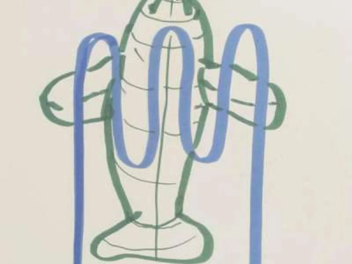 Dolphin (bicycle rack)