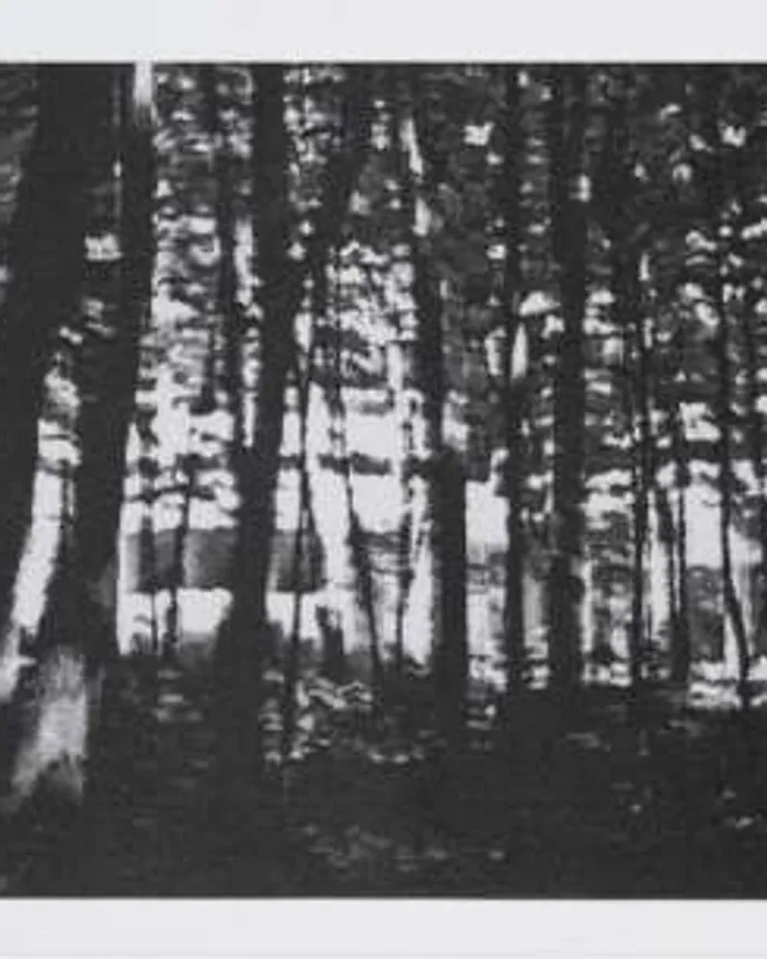 Briey by Peter Doig