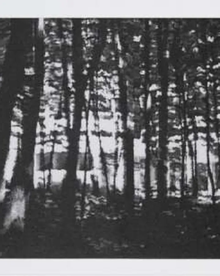 Briey by Peter Doig