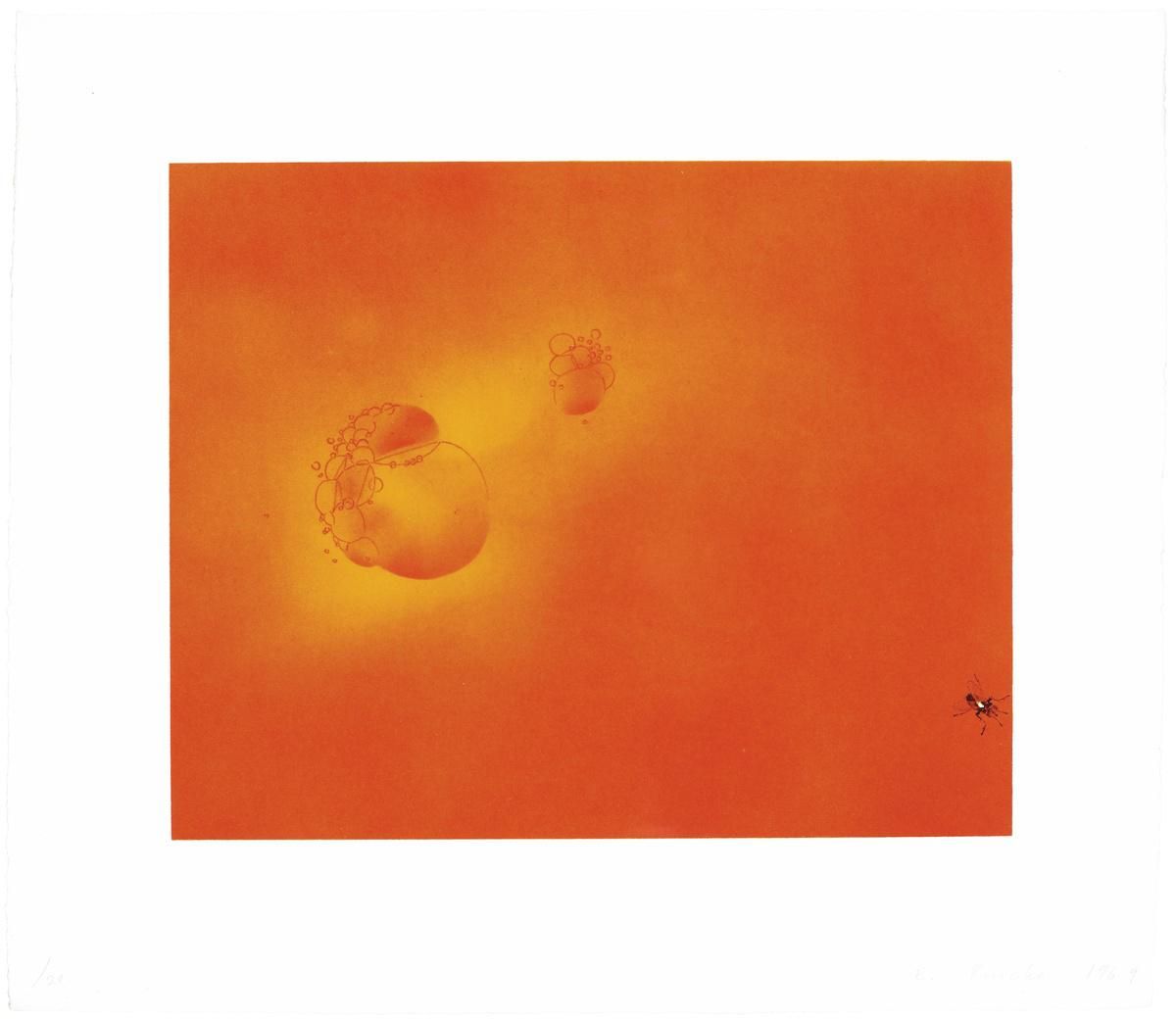 Boiling Blood, Fly by Ed Ruscha