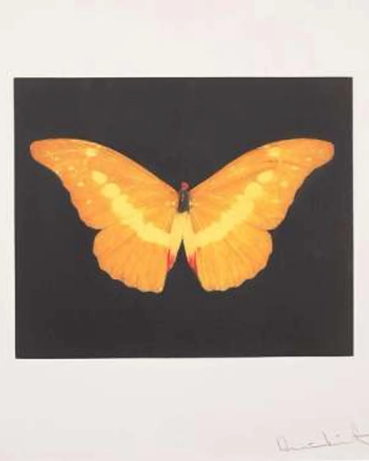 To Love by Damien Hirst