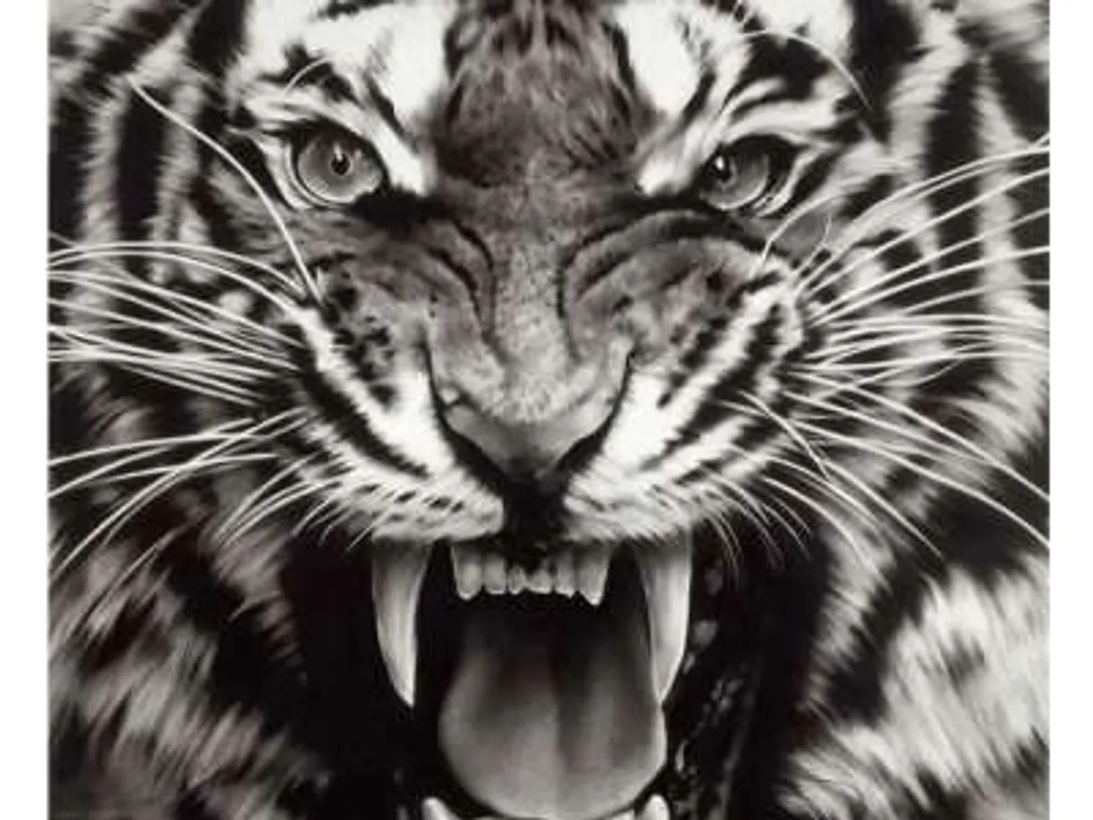Untitled (Roaring Tiger Print)