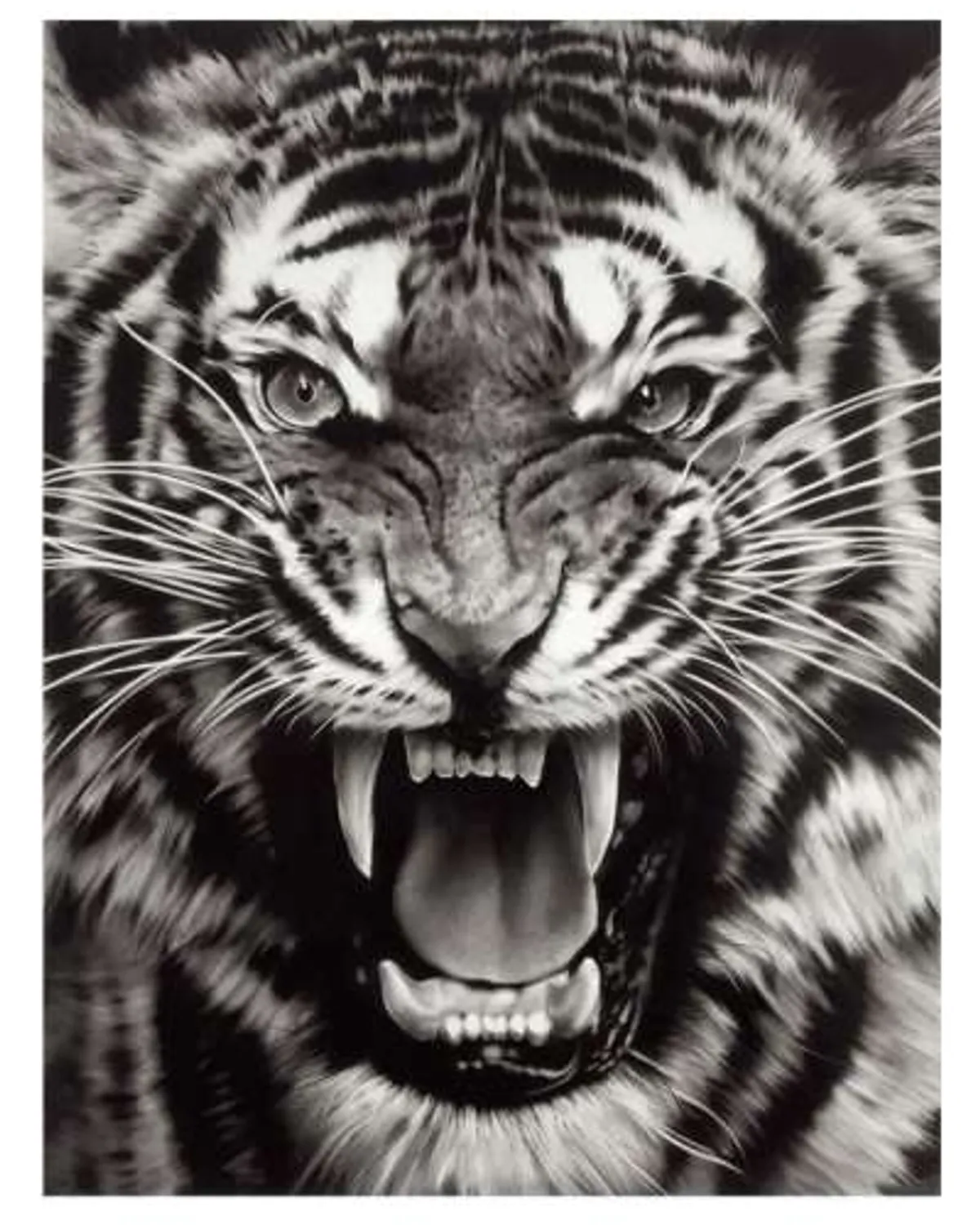 Untitled (Roaring Tiger Print) by Robert Longo