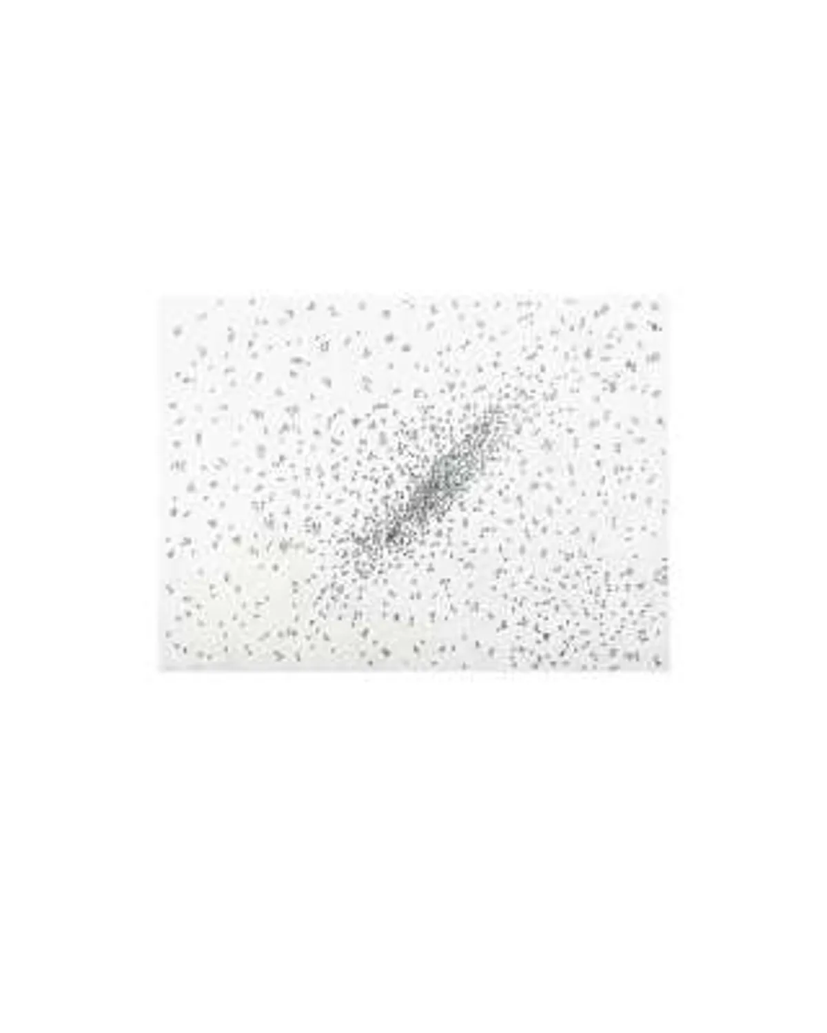 Insect Slant (Ants) by Ed Ruscha