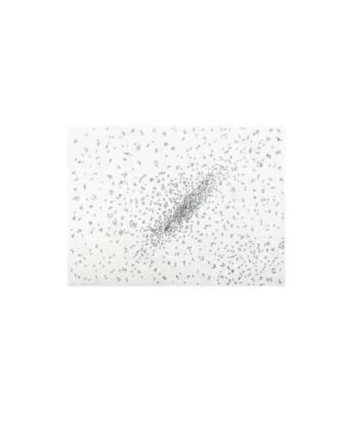 Insect Slant (Ants) by Ed Ruscha