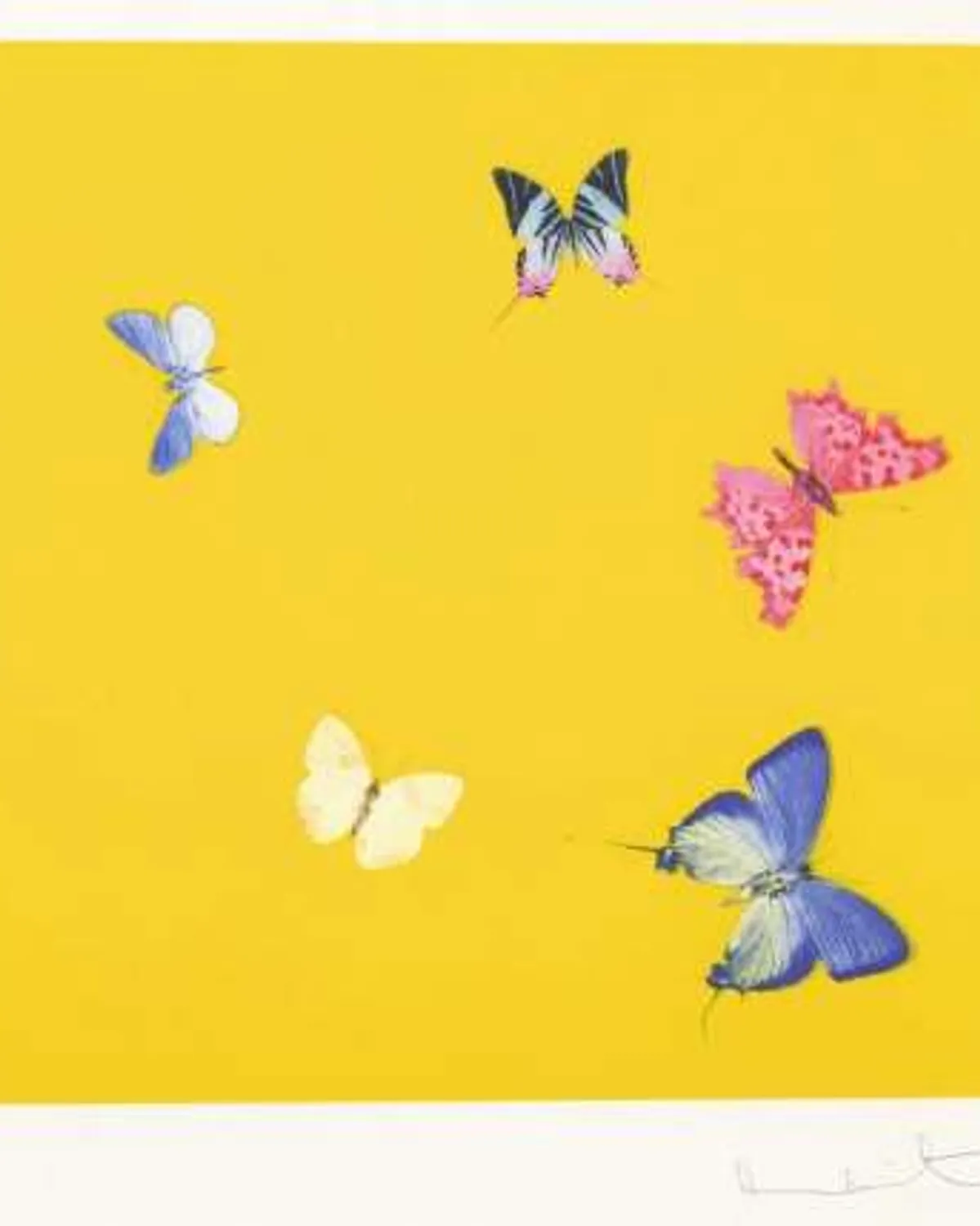 Sweet Disorder by Damien Hirst