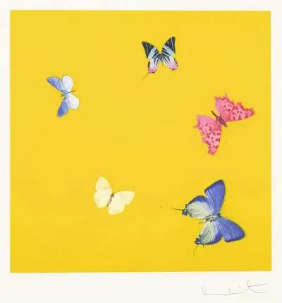 Sweet Disorder by Damien Hirst
