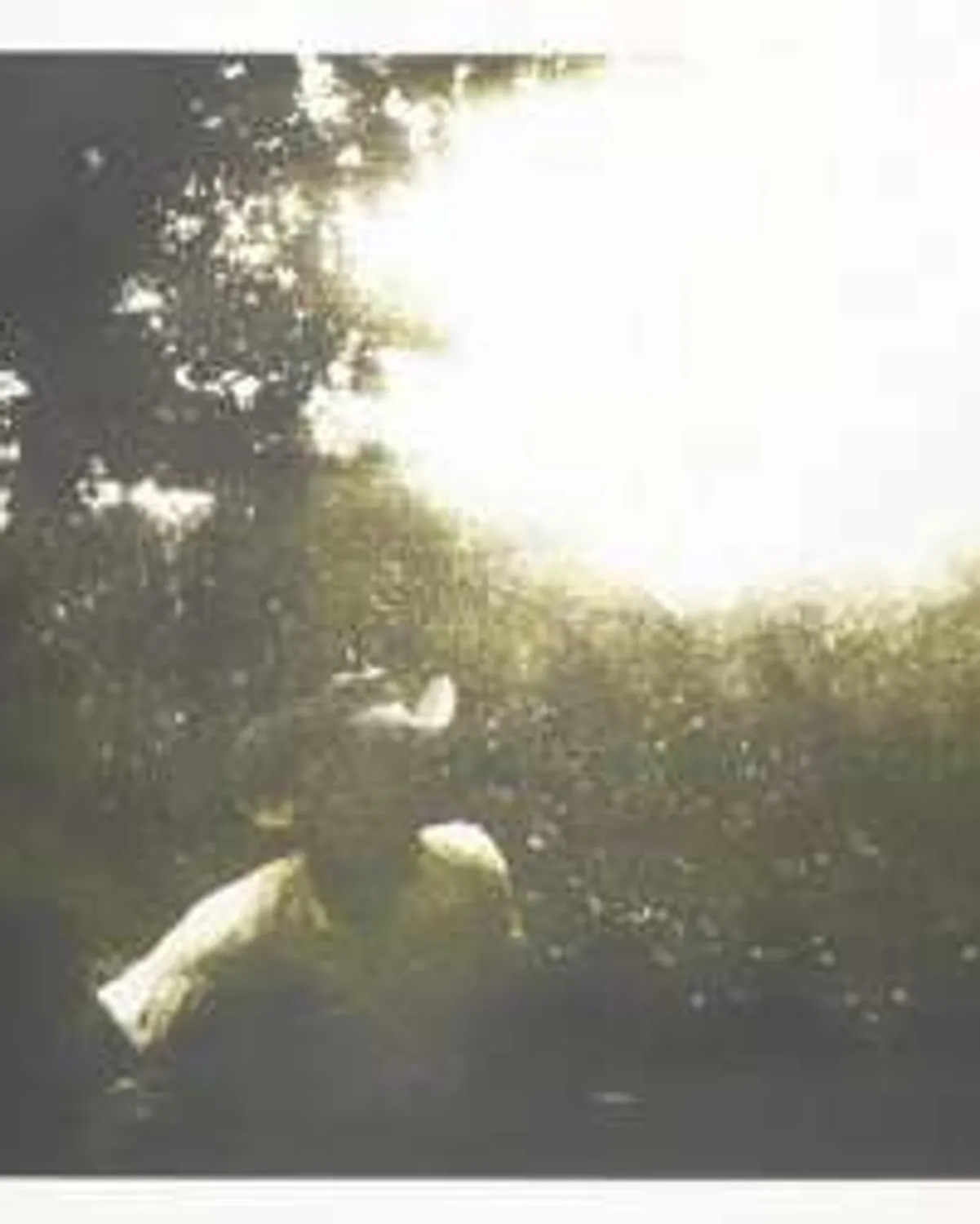 Drifter by Peter Doig