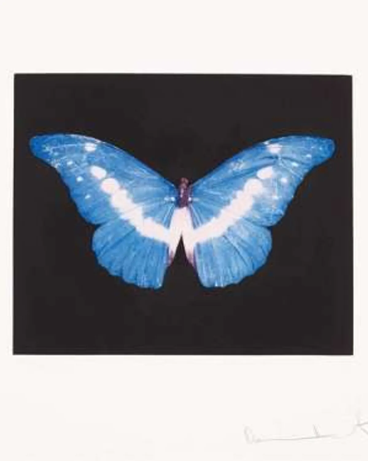 To Belong by Damien Hirst