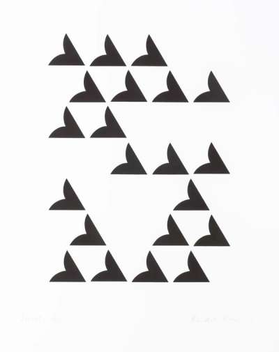Sonnet by Bridget Riley