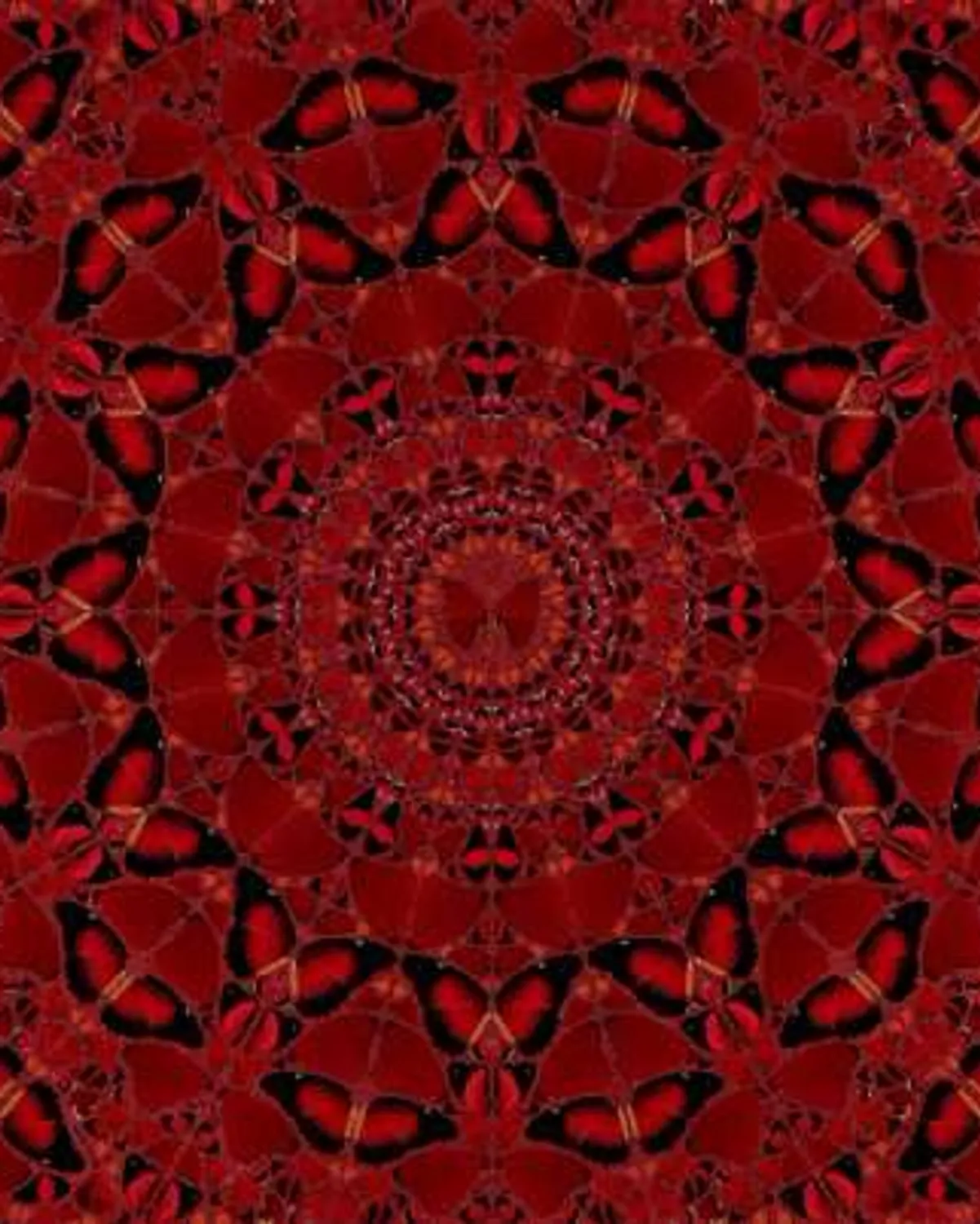 H10-4 Suiko by Damien Hirst