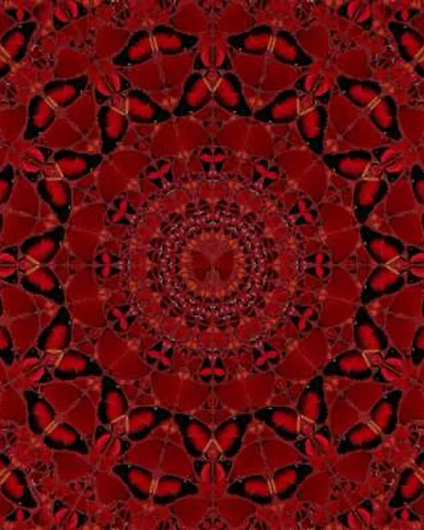 H10-4 Suiko by Damien Hirst