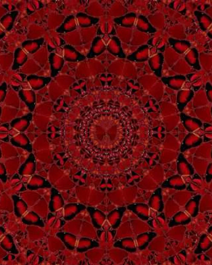 H10-4 Suiko by Damien Hirst
