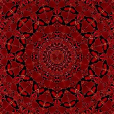 H10-4 Suiko by Damien Hirst
