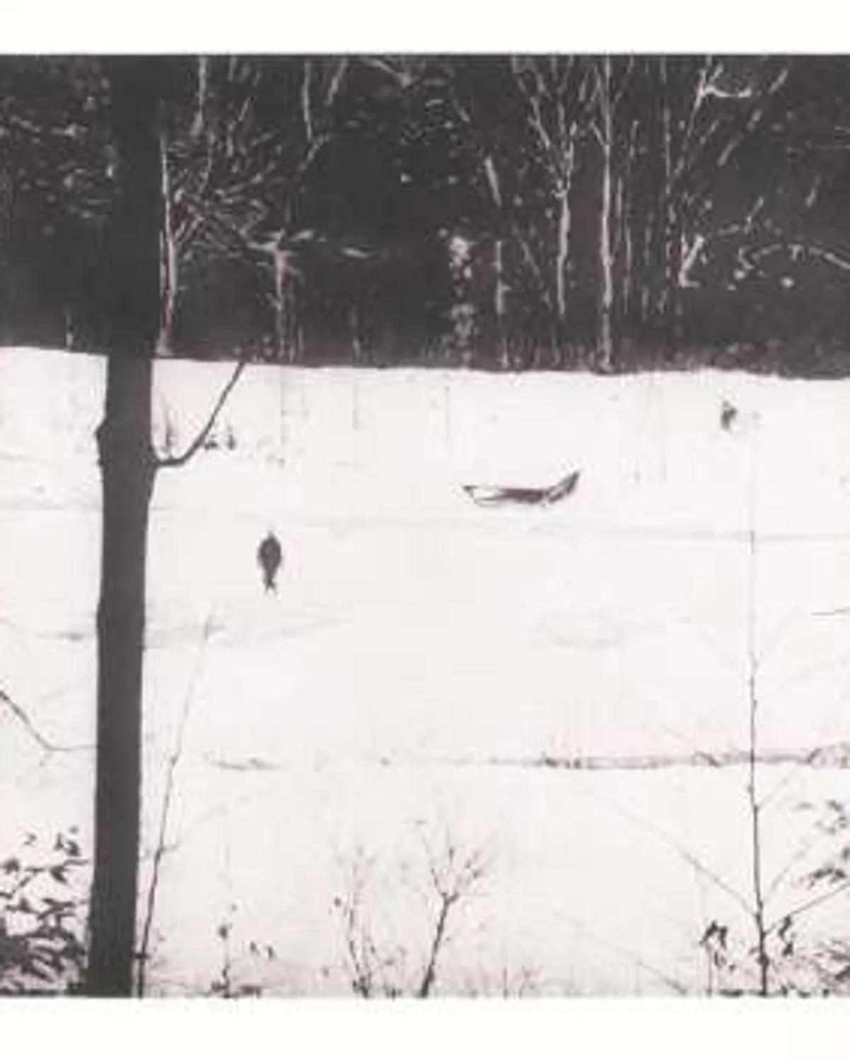 Almost Grown by Peter Doig