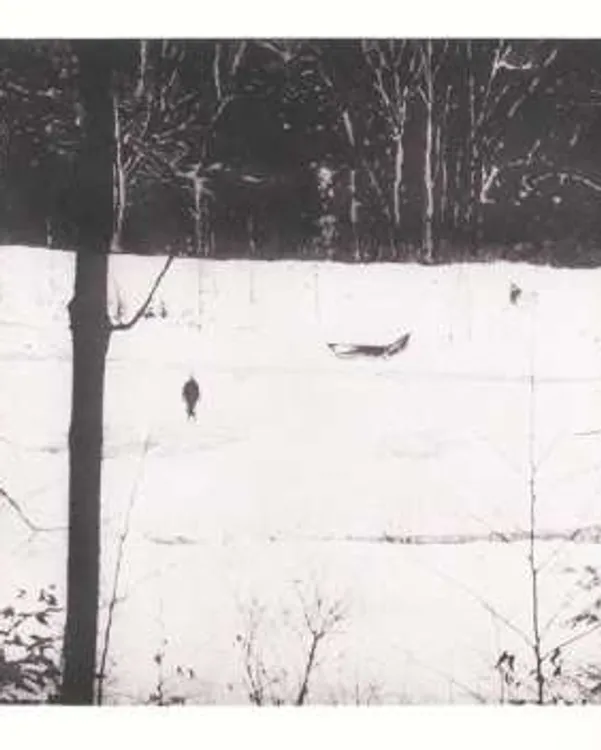 Almost Grown by Peter Doig