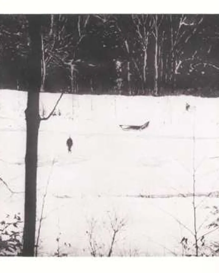 Almost Grown by Peter Doig