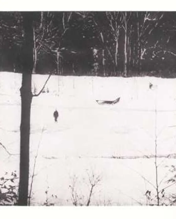 Almost Grown by Peter Doig
