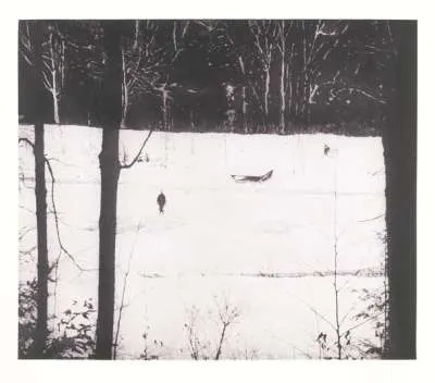 Almost Grown by Peter Doig