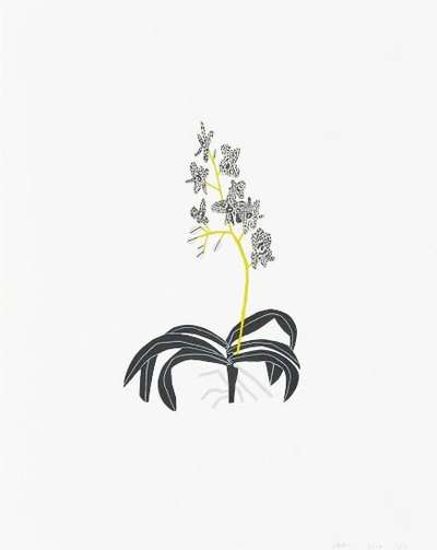 Black And Grey Clipping by Jonas Wood