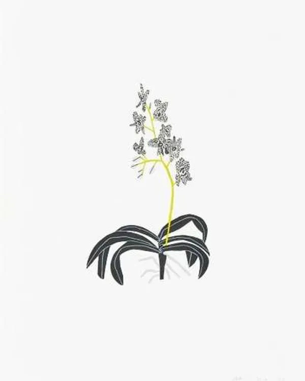 Black And Grey Clipping by Jonas Wood