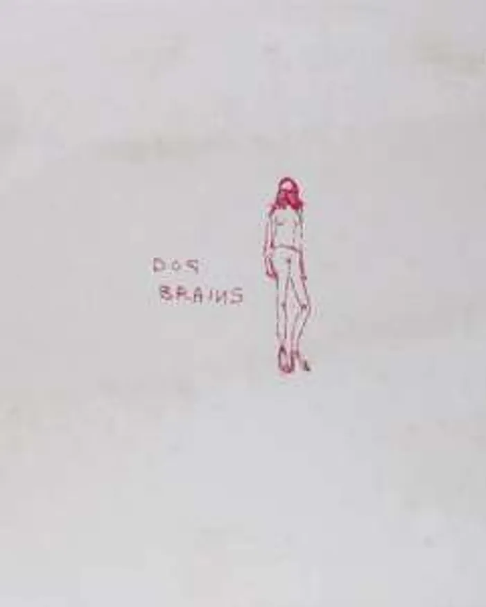 Dog Brains by Tracey Emin