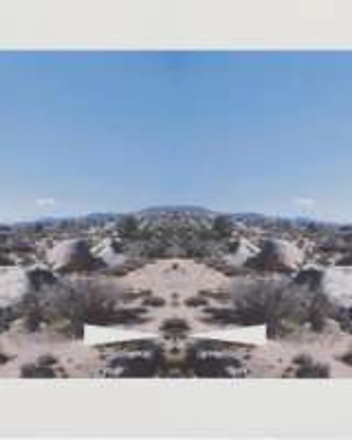 Bow-Tie Palm Springs by Ed Ruscha