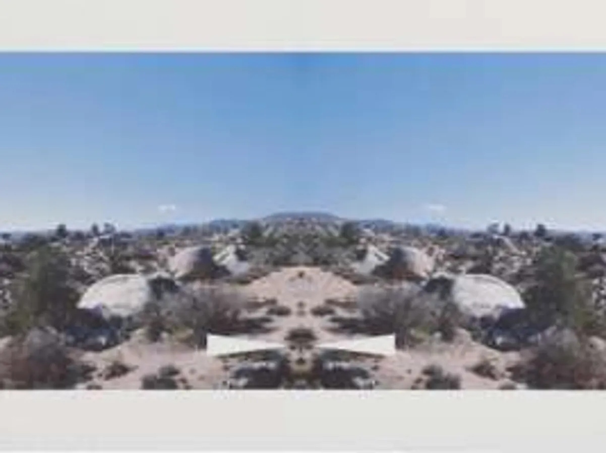 Bow-Tie Palm Springs