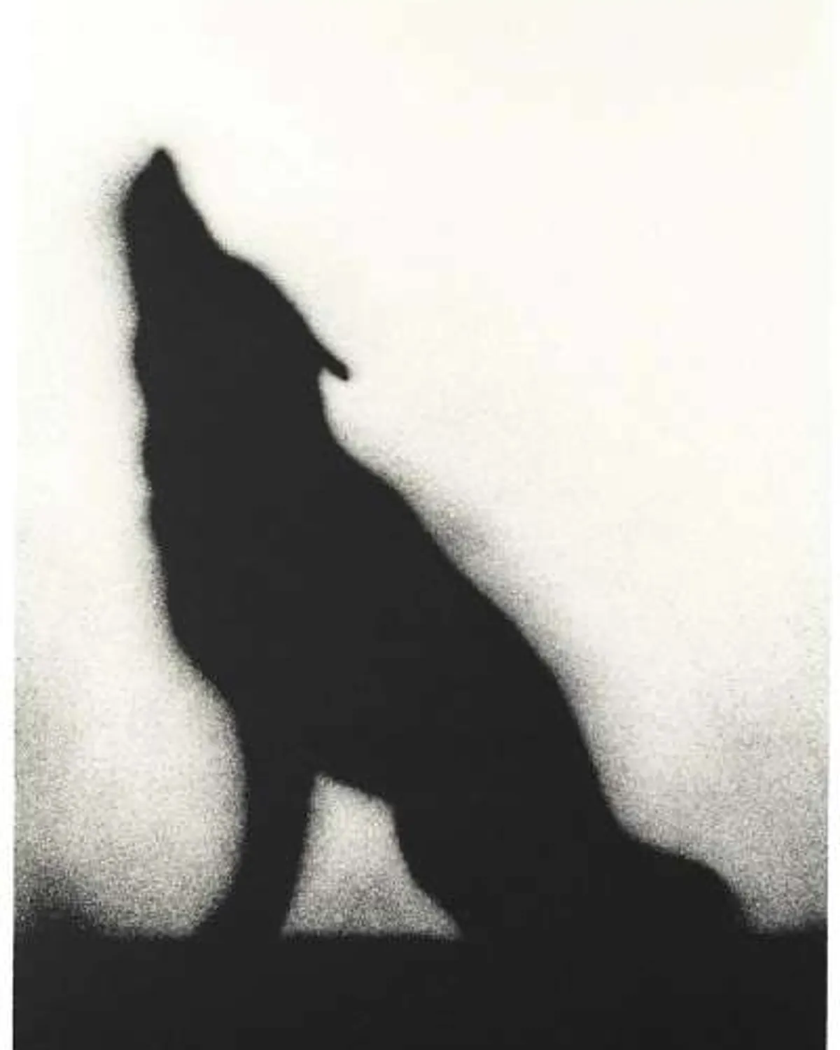 Coyote by Ed Ruscha